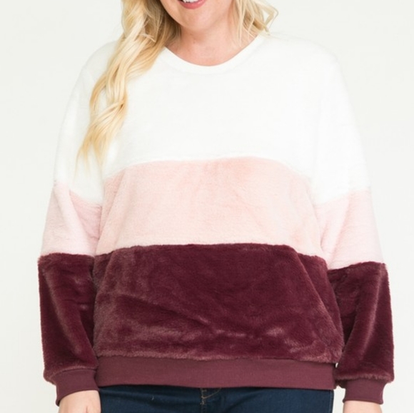 Neapolitan Teddy Sweatshirt - Picture 5 of 5